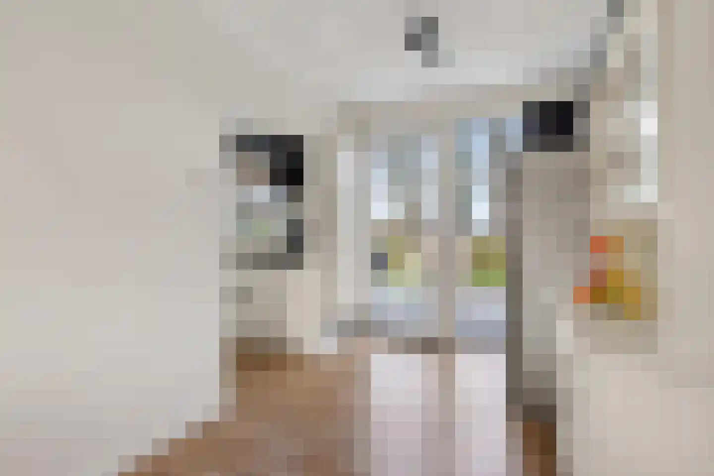 Zuiderweg 19 Slochteren thumbnail 13