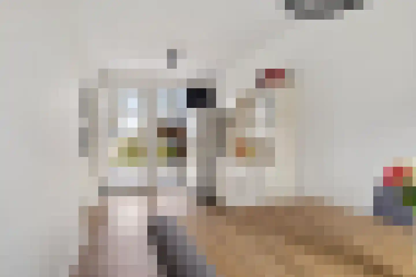 Zuiderweg 19 Slochteren thumbnail 14