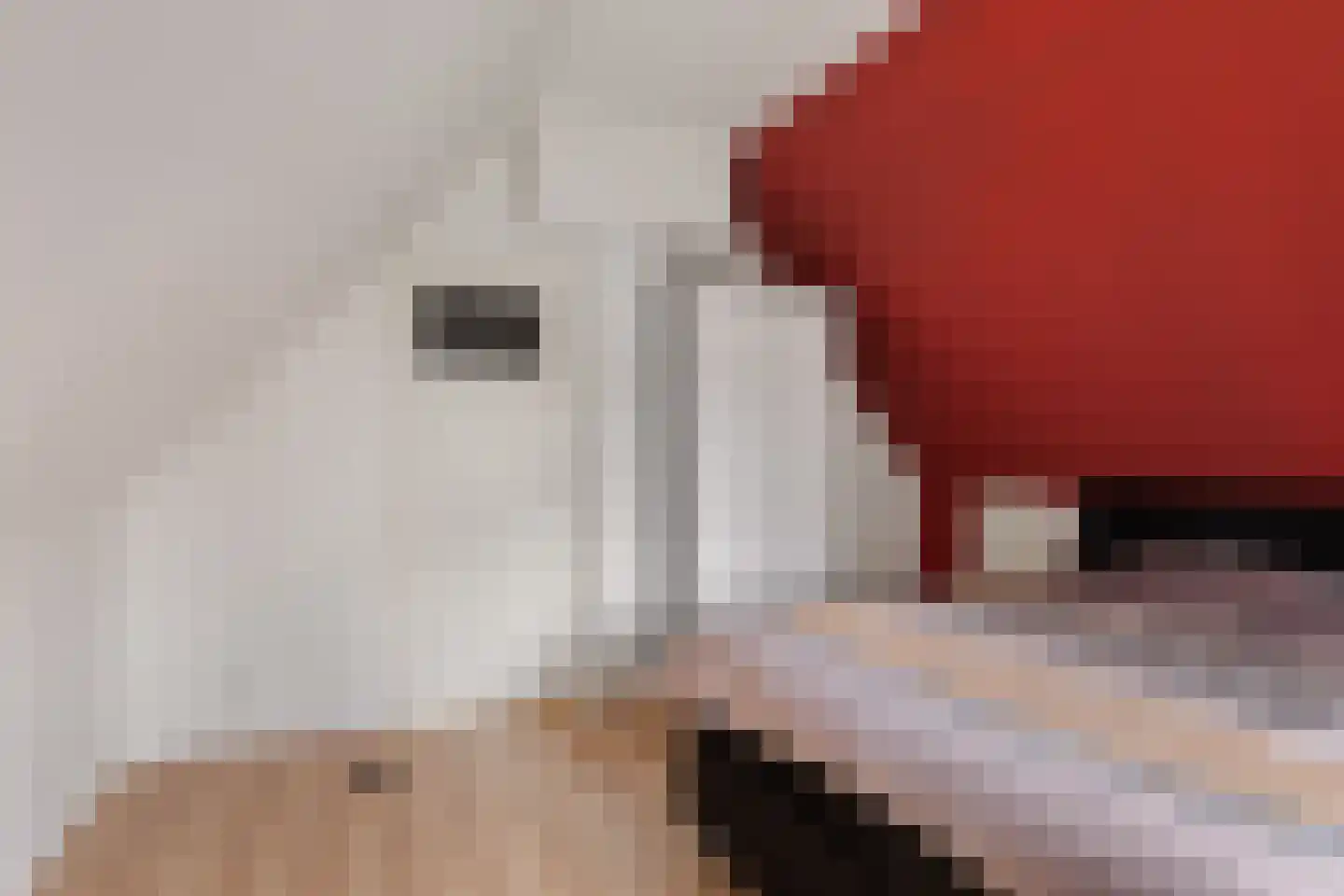 Zuiderweg 19 Slochteren thumbnail 25
