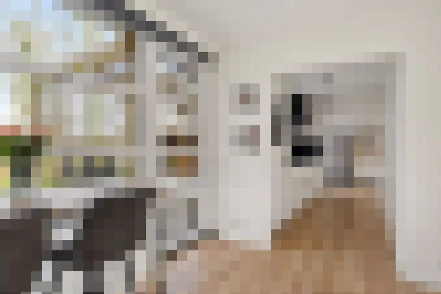 Zuiderweg 19 Slochteren thumbnail 4