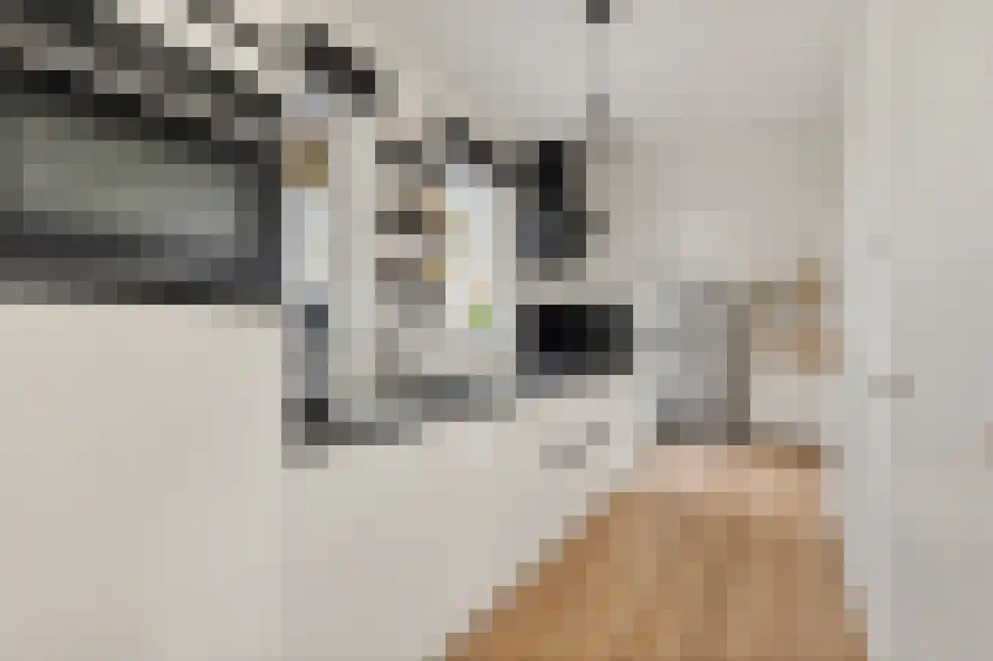 Zuiderweg 19 Slochteren thumbnail 5