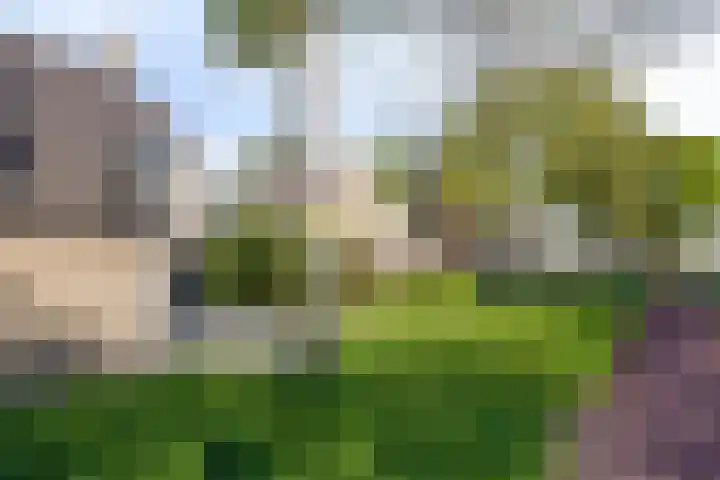 Zuiderweg 195 Groningen thumbnail 24