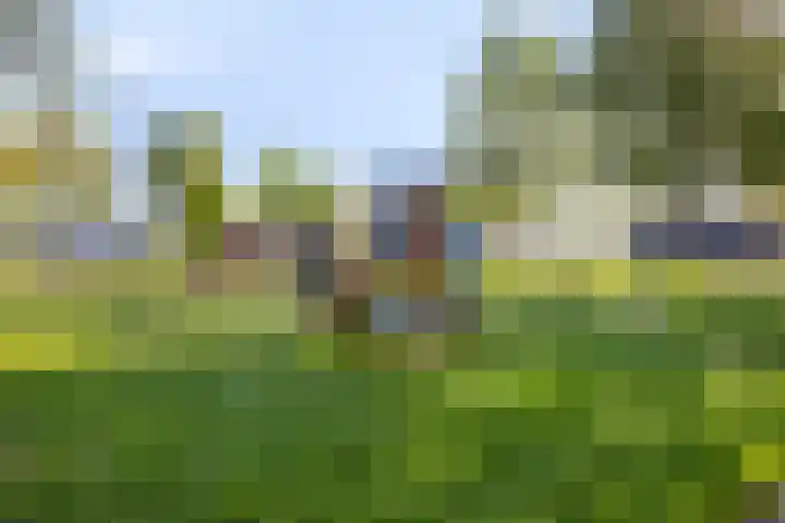 Zuiderweg 195 Groningen thumbnail 25