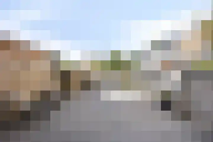 Zuiderweg 195 Groningen thumbnail 4