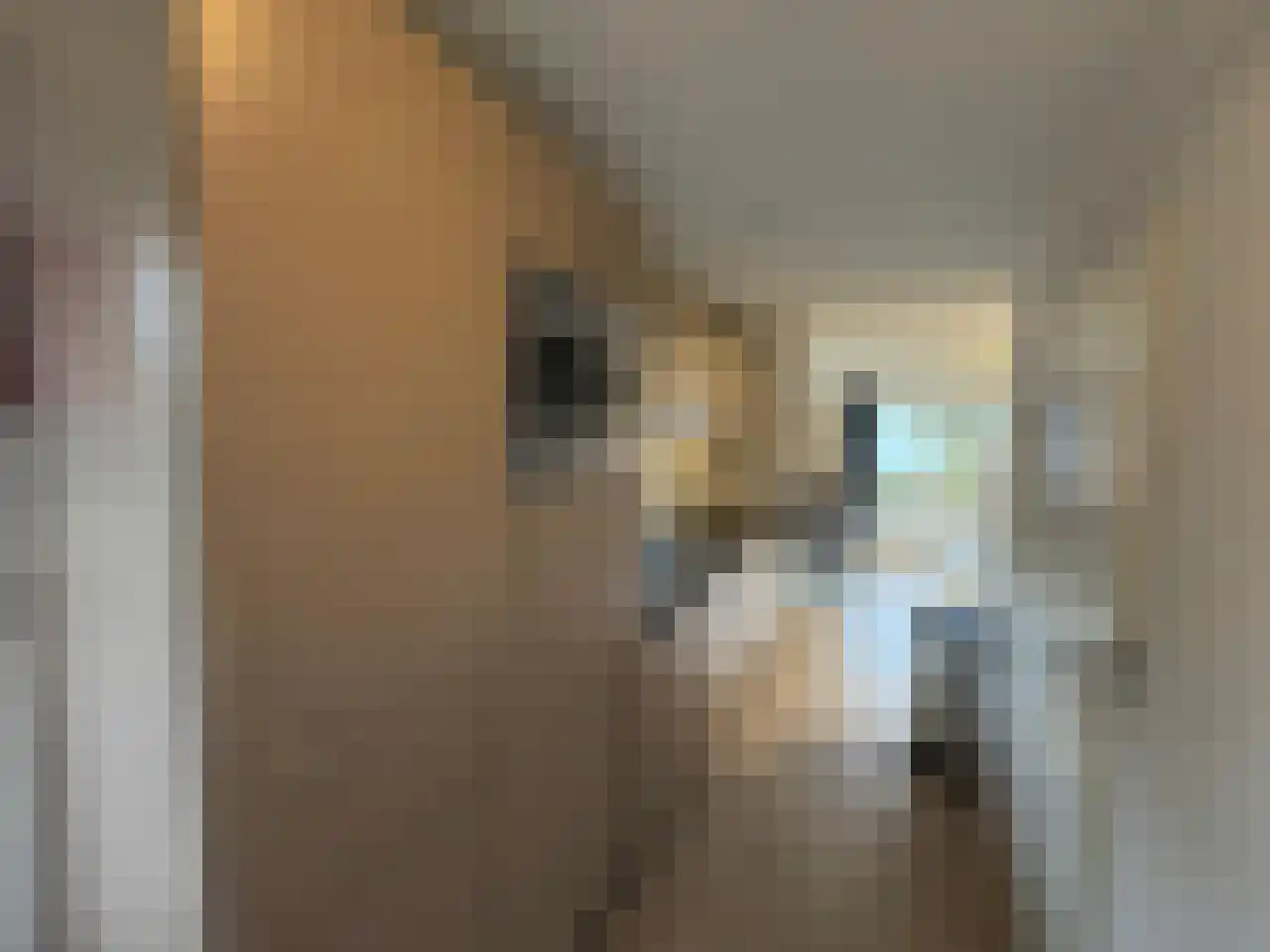 Zuiderweg 2 181 Halfweg thumbnail 13