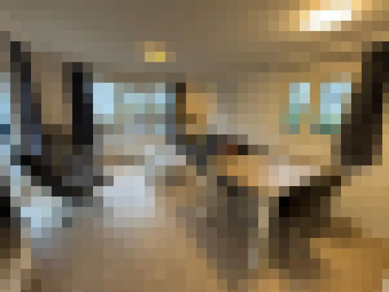 Zuiderweg 2 181 Halfweg thumbnail 8