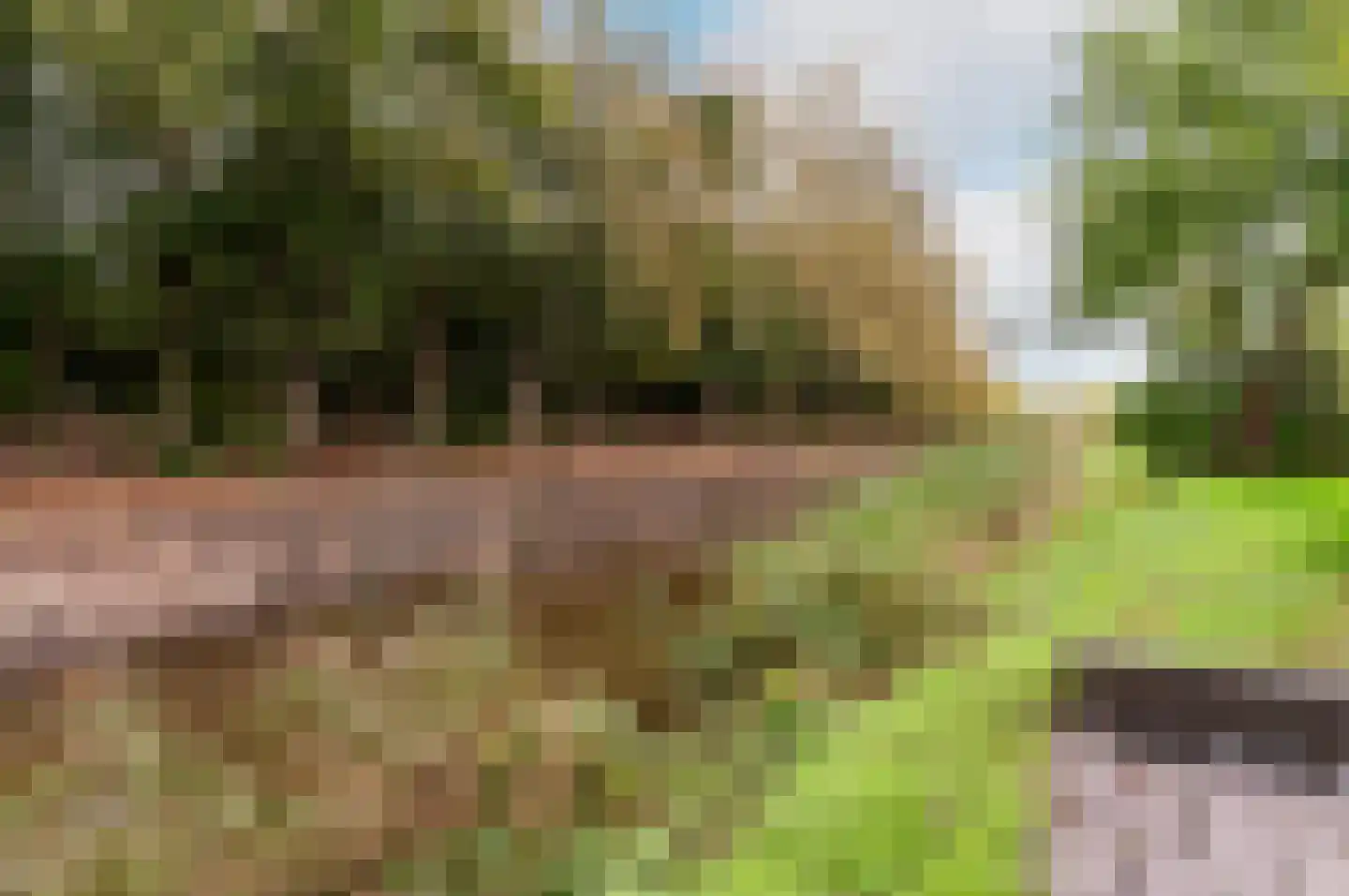 Zuiderweg 2 R 0035 Halfweg thumbnail 21