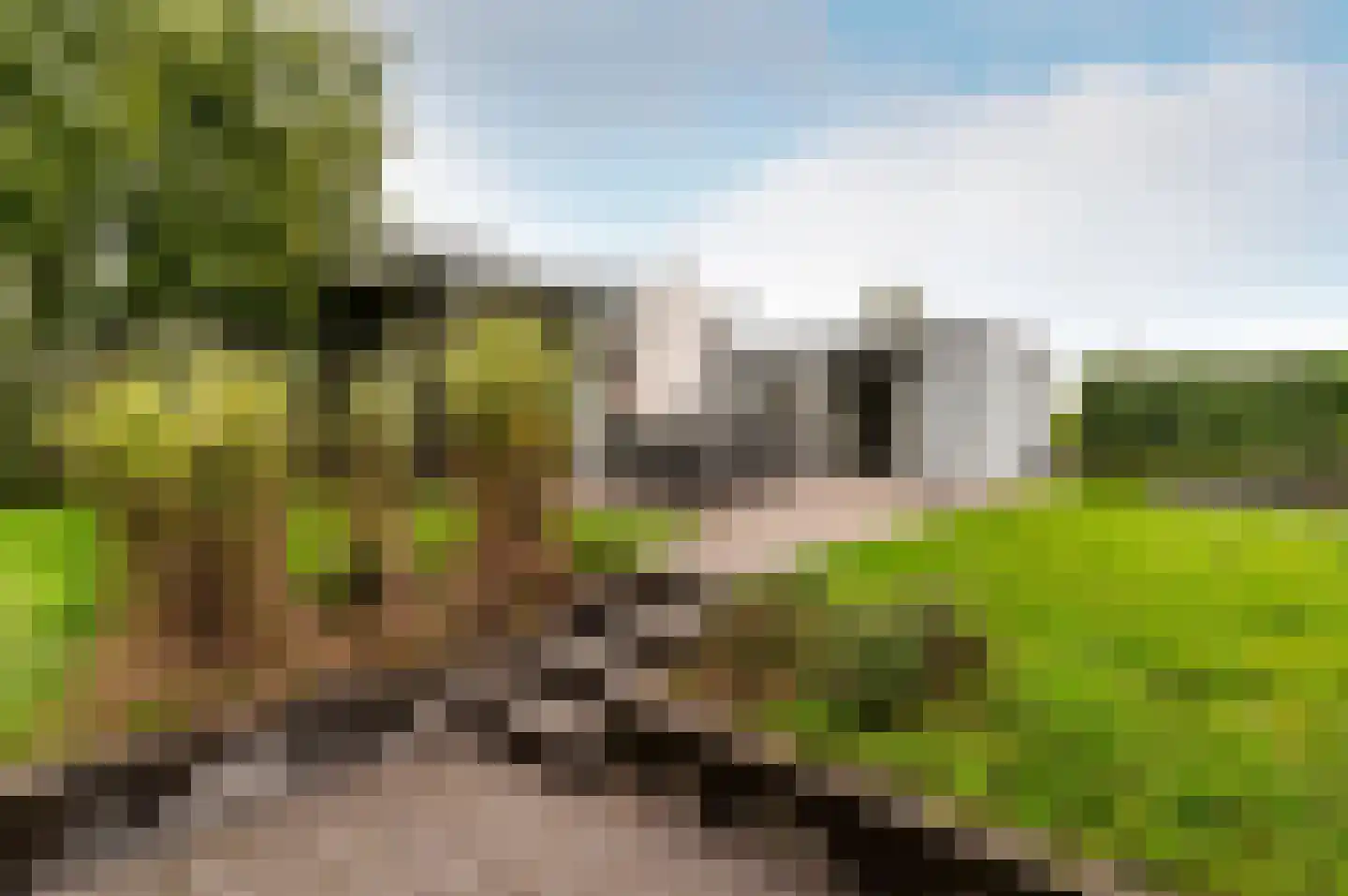 Zuiderweg 2 R 0035 Halfweg thumbnail 23