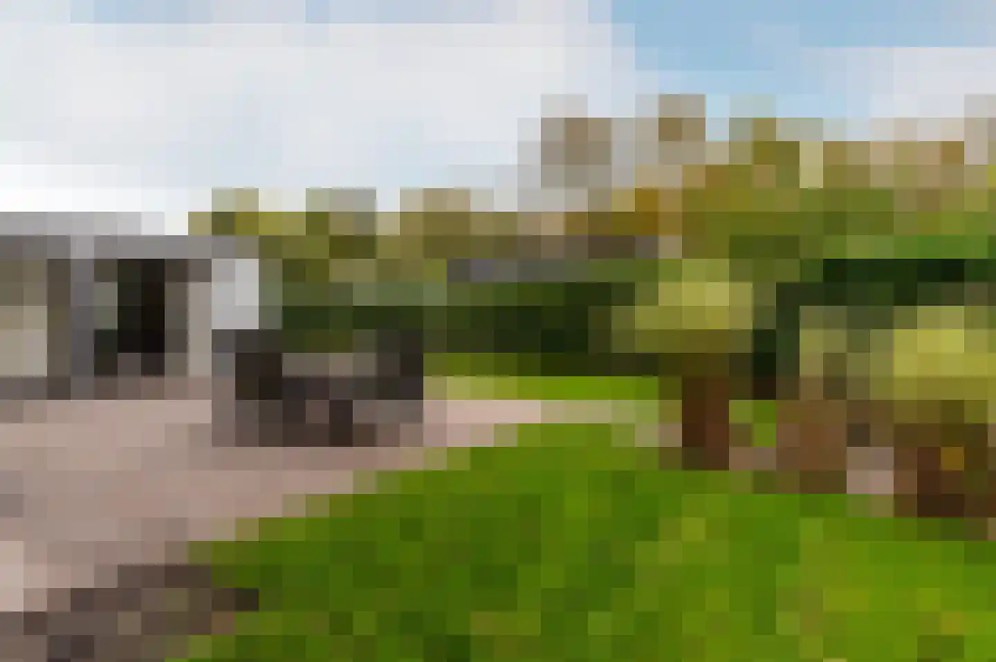 Zuiderweg 2 R 0035 Halfweg thumbnail 26