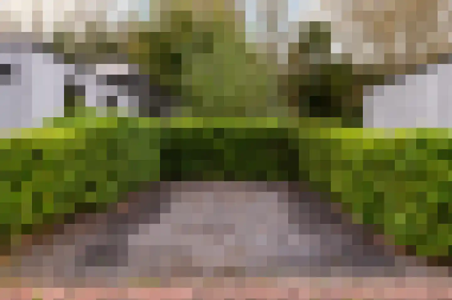 Zuiderweg 2 R 0035 Halfweg thumbnail 31