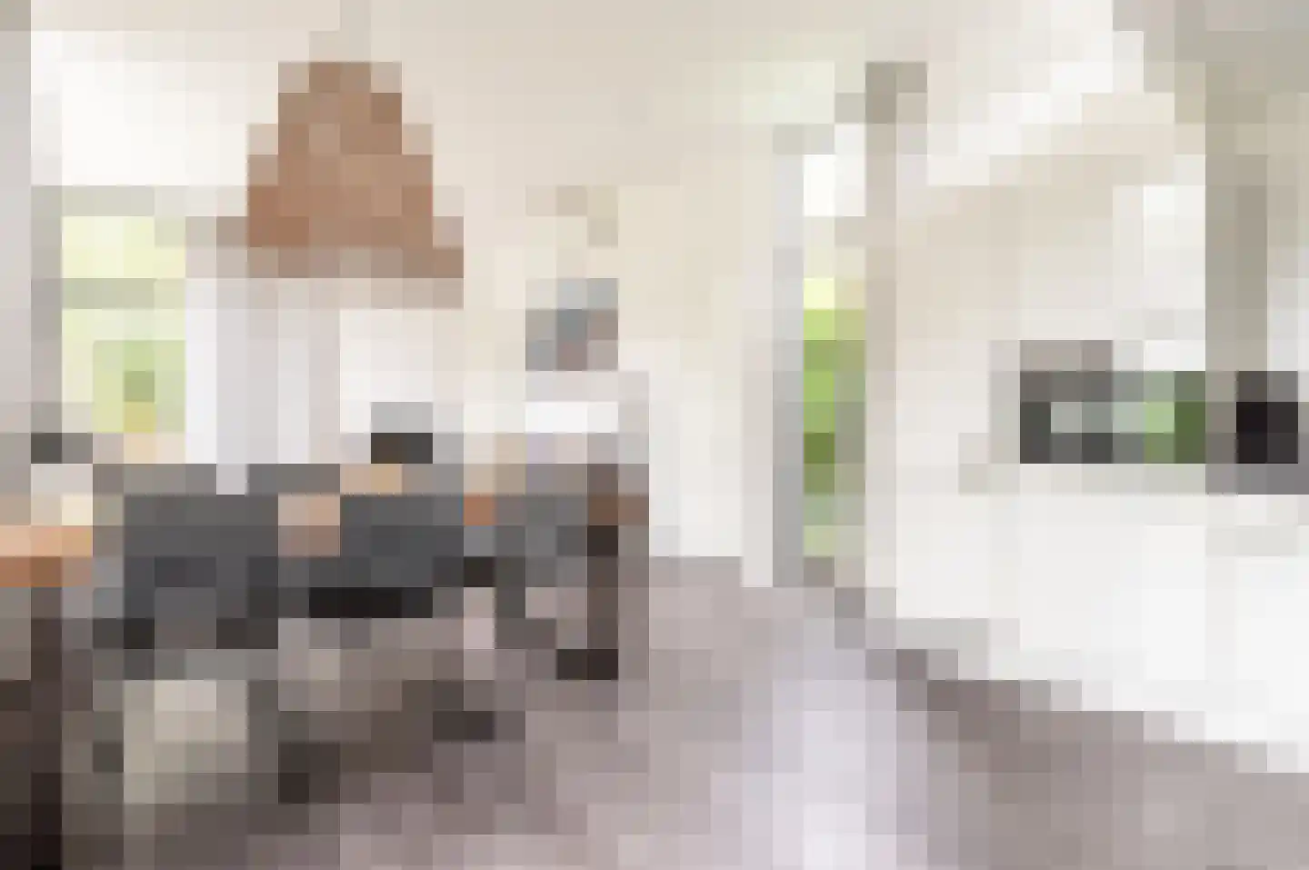 Zuiderweg 2 R 0035 Halfweg thumbnail 5