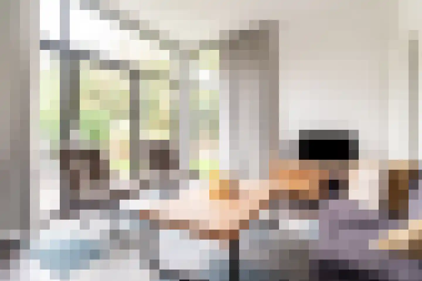 Zuiderweg 2 R 0035 Halfweg thumbnail 6