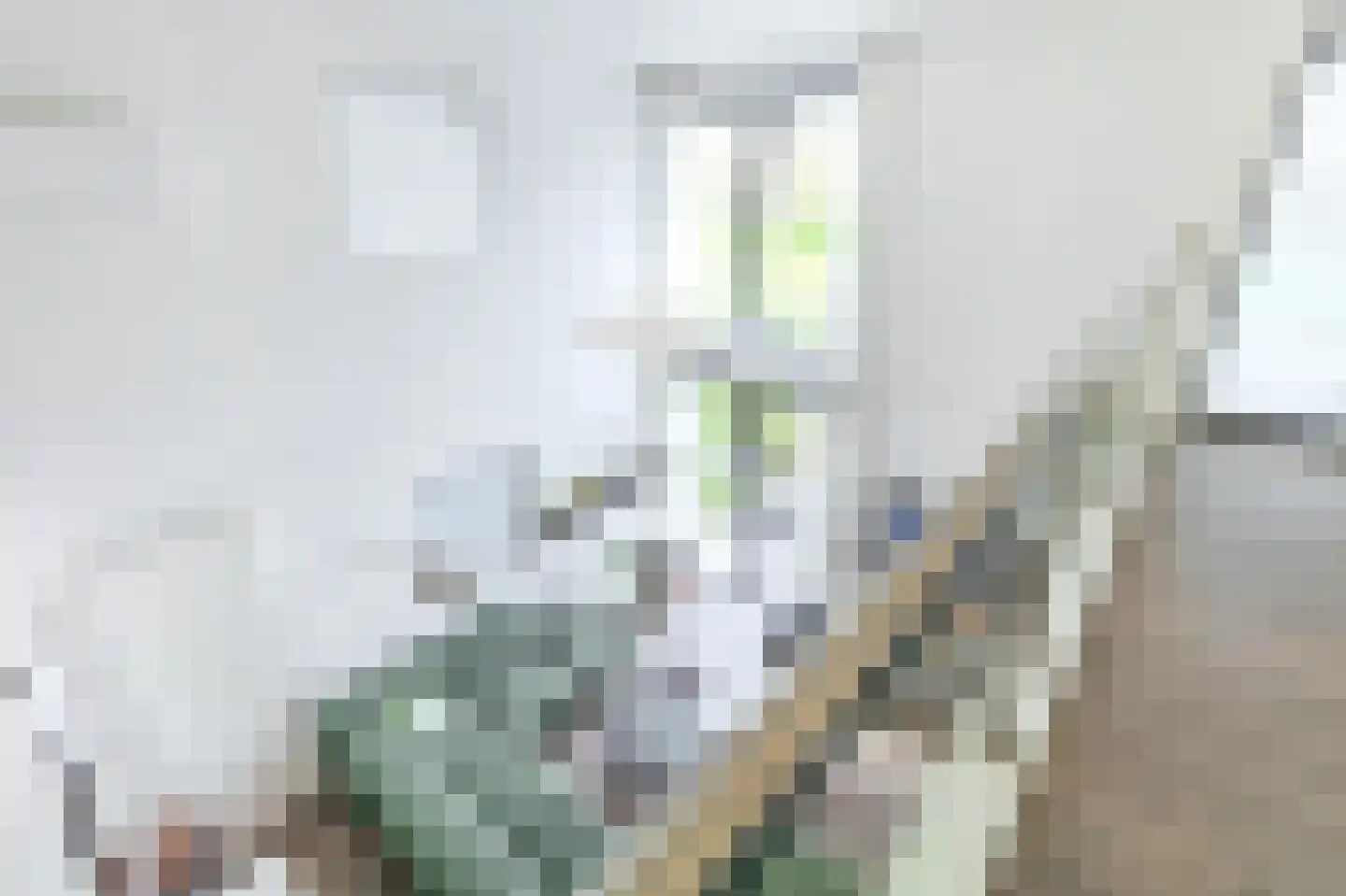 Zuiderweg 2 R 0078 Halfweg thumbnail 20
