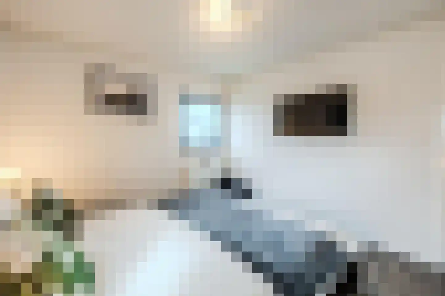 Zuiderweg 2 R 0078 Halfweg thumbnail 23