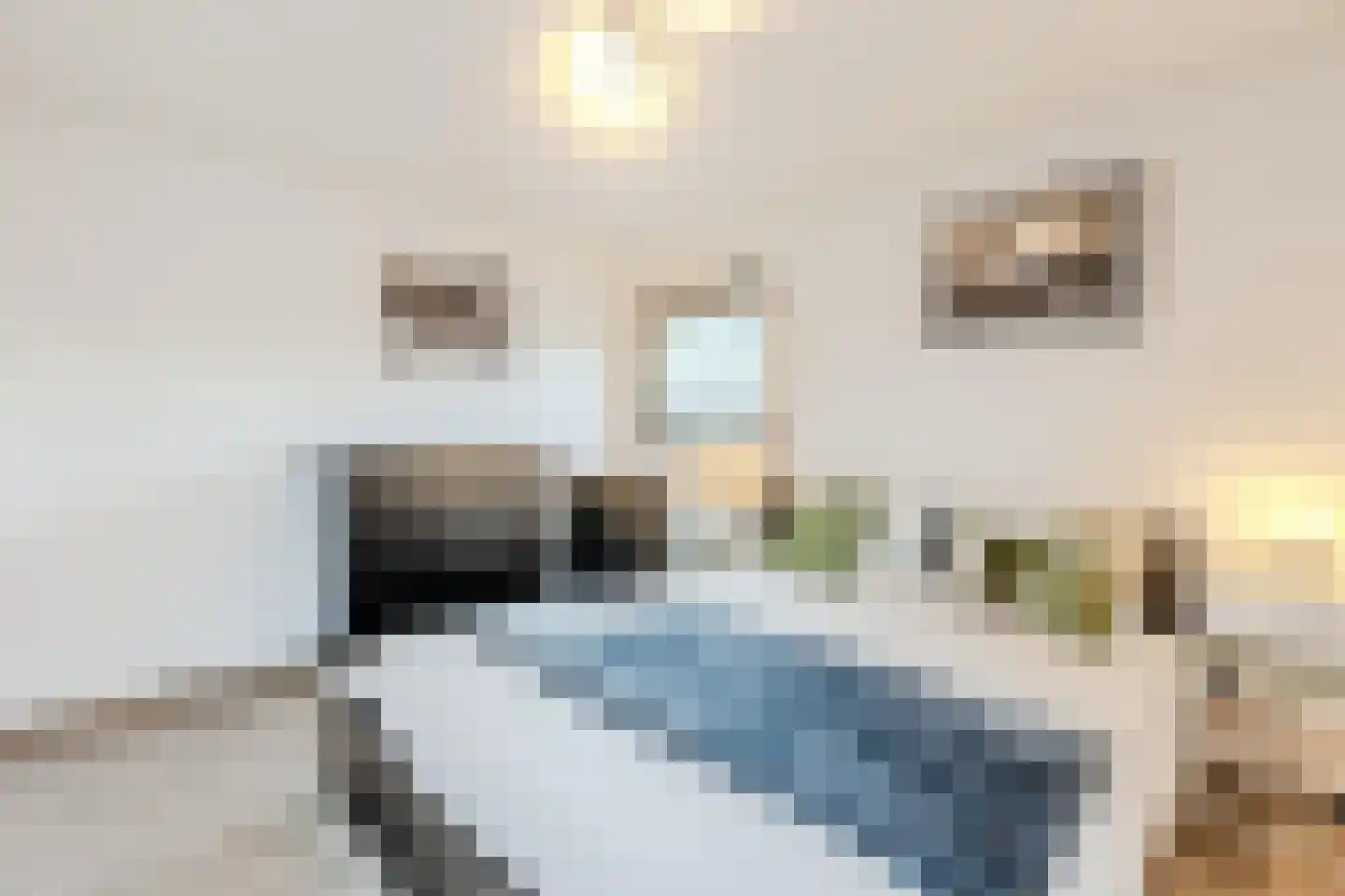 Zuiderweg 2 R 0078 Halfweg thumbnail 24