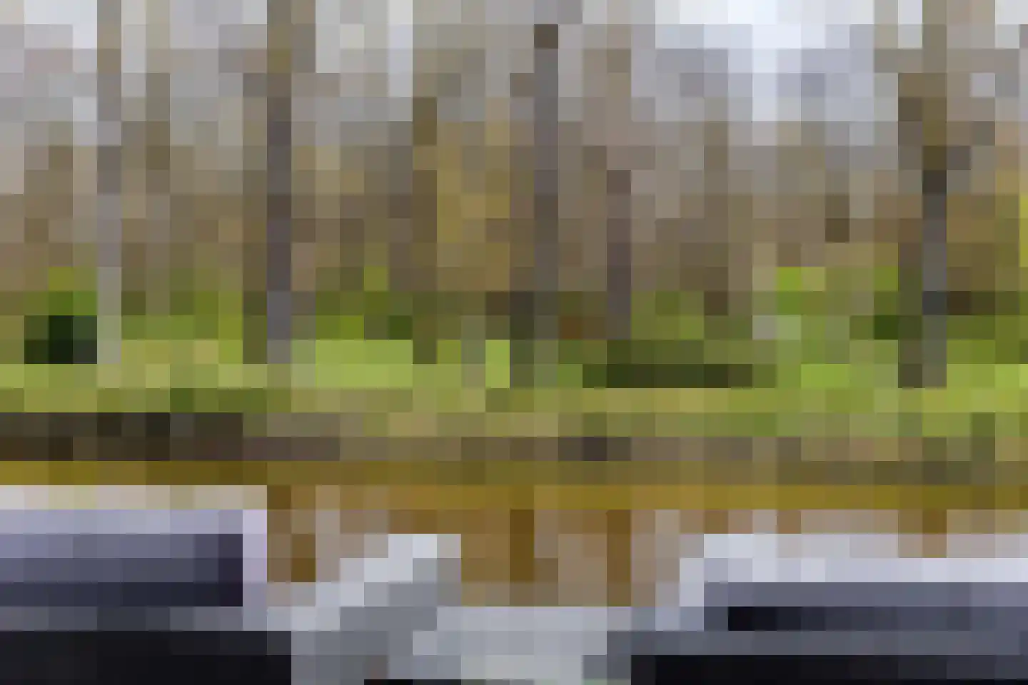 Zuiderweg 2 R 0078 Halfweg thumbnail 32