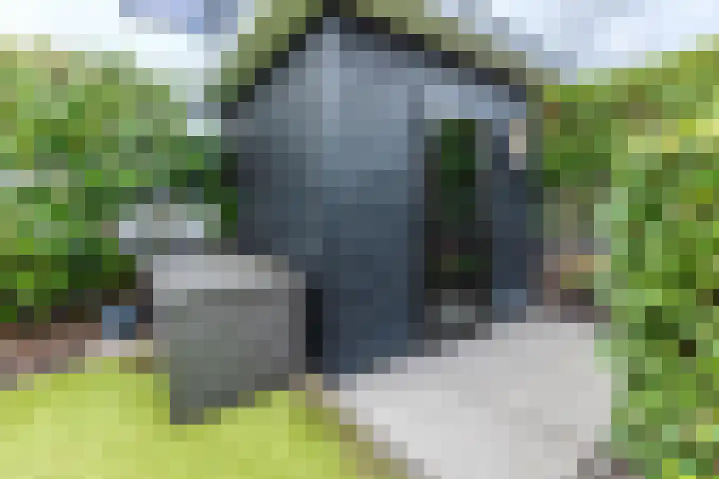 Zuiderweg 2 R 0078 Halfweg thumbnail 34