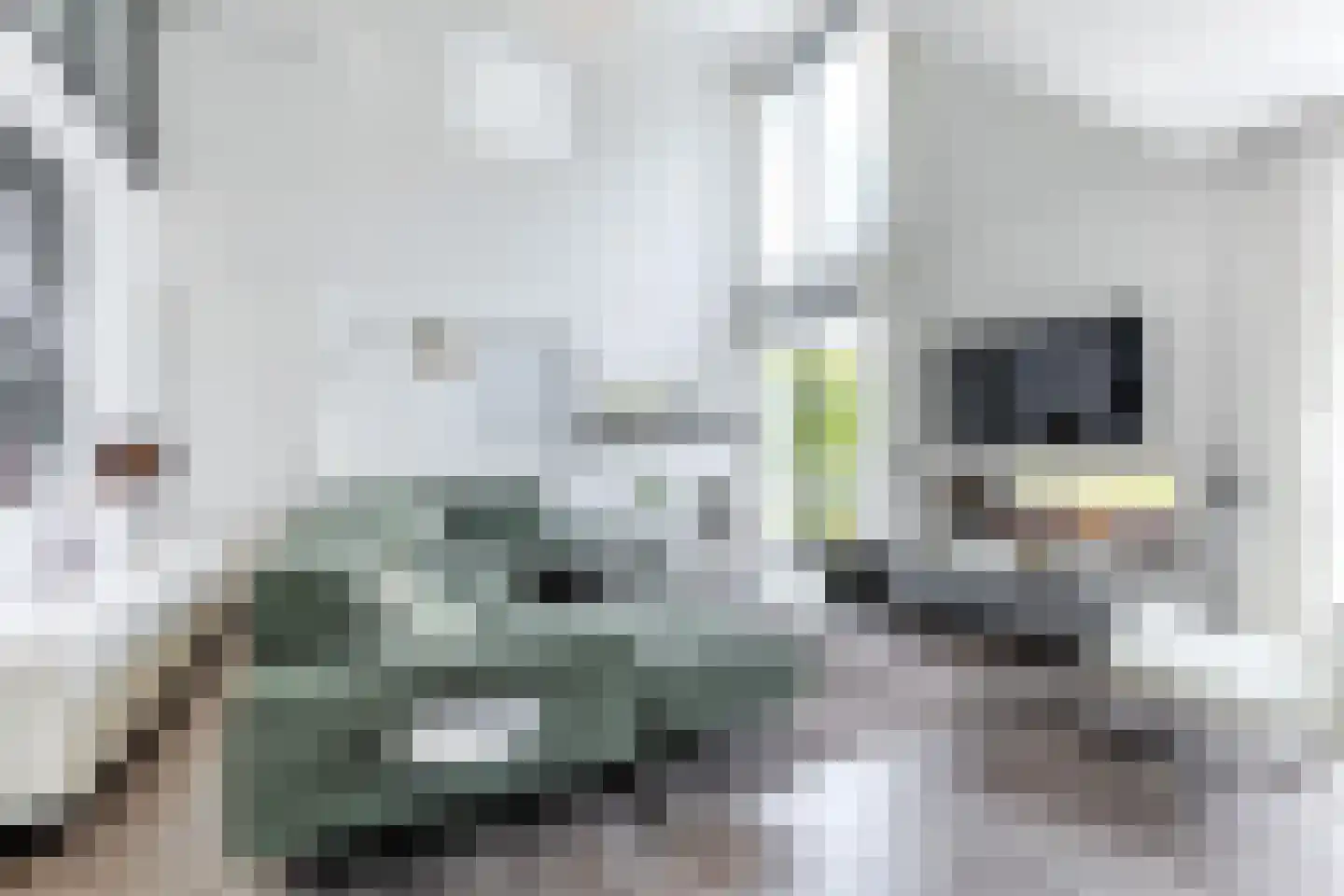 Zuiderweg 2 R 0078 Halfweg thumbnail 4