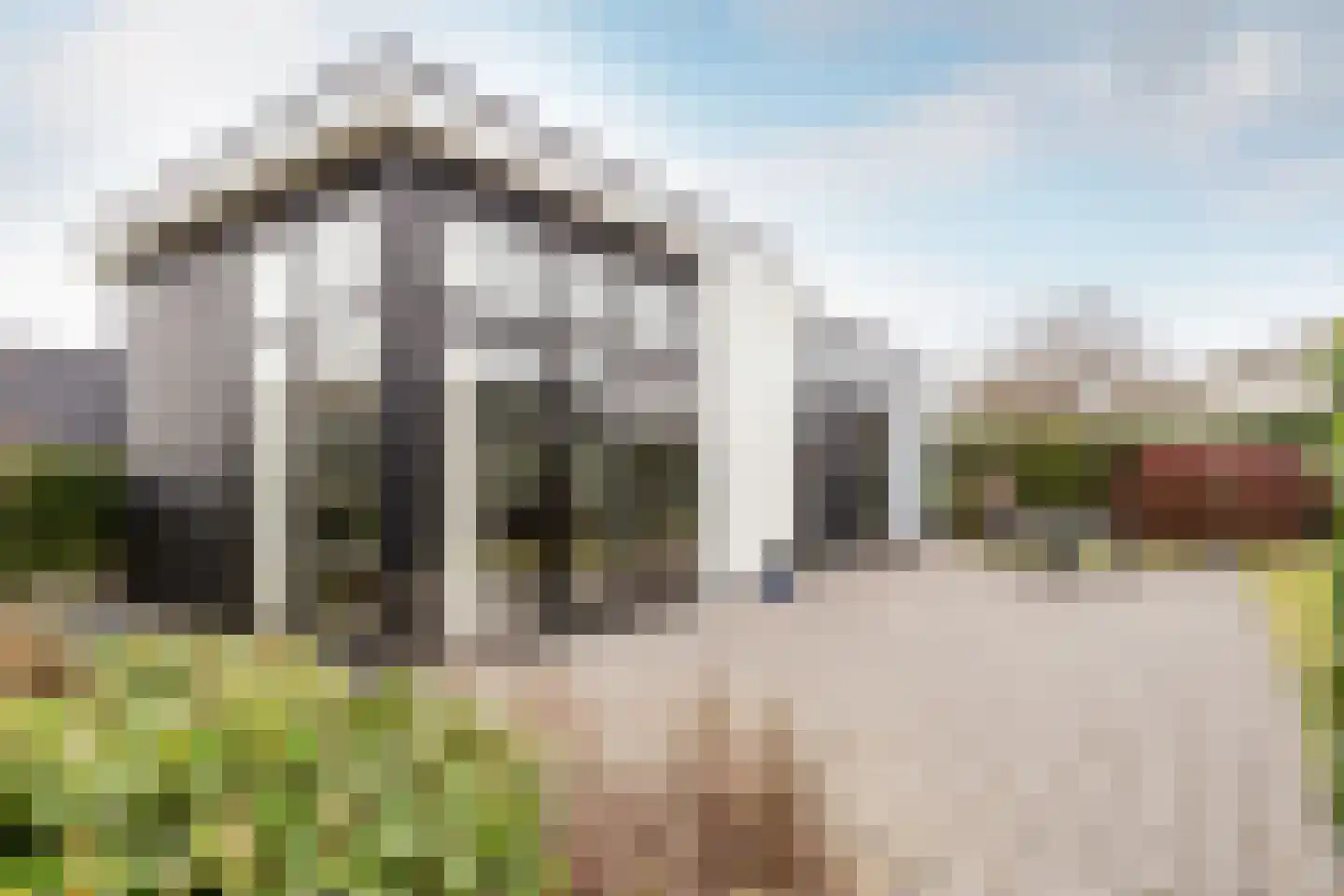 Zuiderweg 2 R 0247 Halfweg thumbnail 23