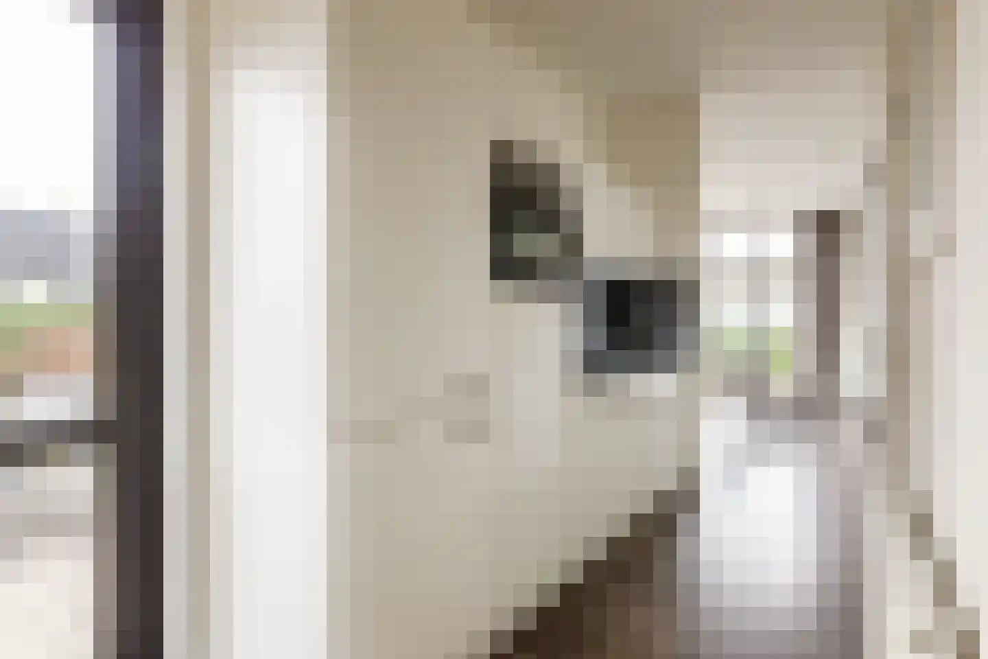 Zuiderweg 2 R 0247 Halfweg thumbnail 9