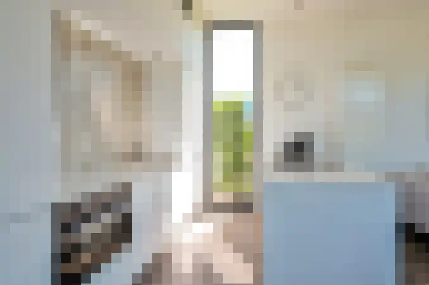 Zuiderweg 2 R 0252 Halfweg thumbnail 7