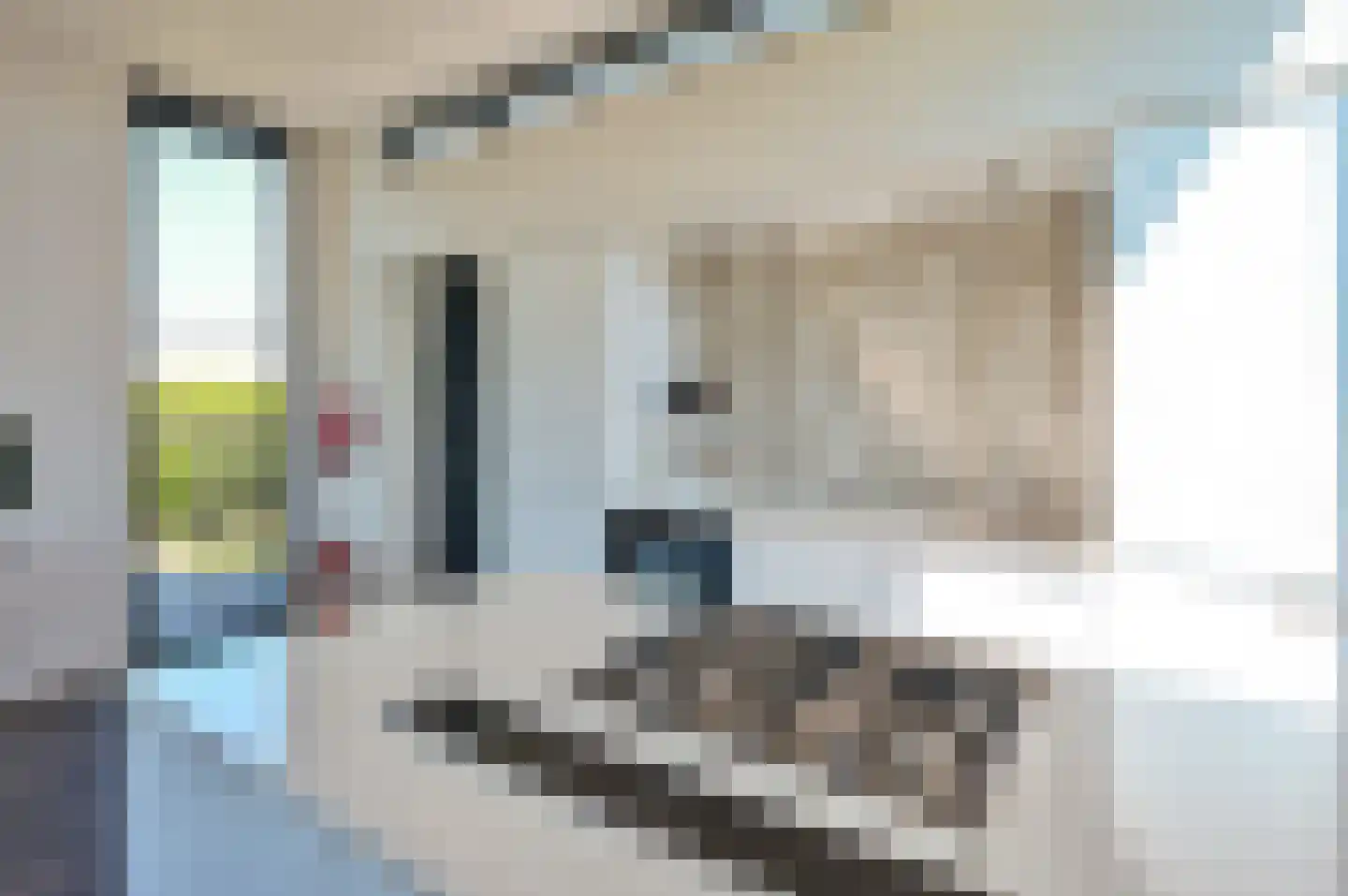 Zuiderweg 2 R 0252 Halfweg thumbnail 8