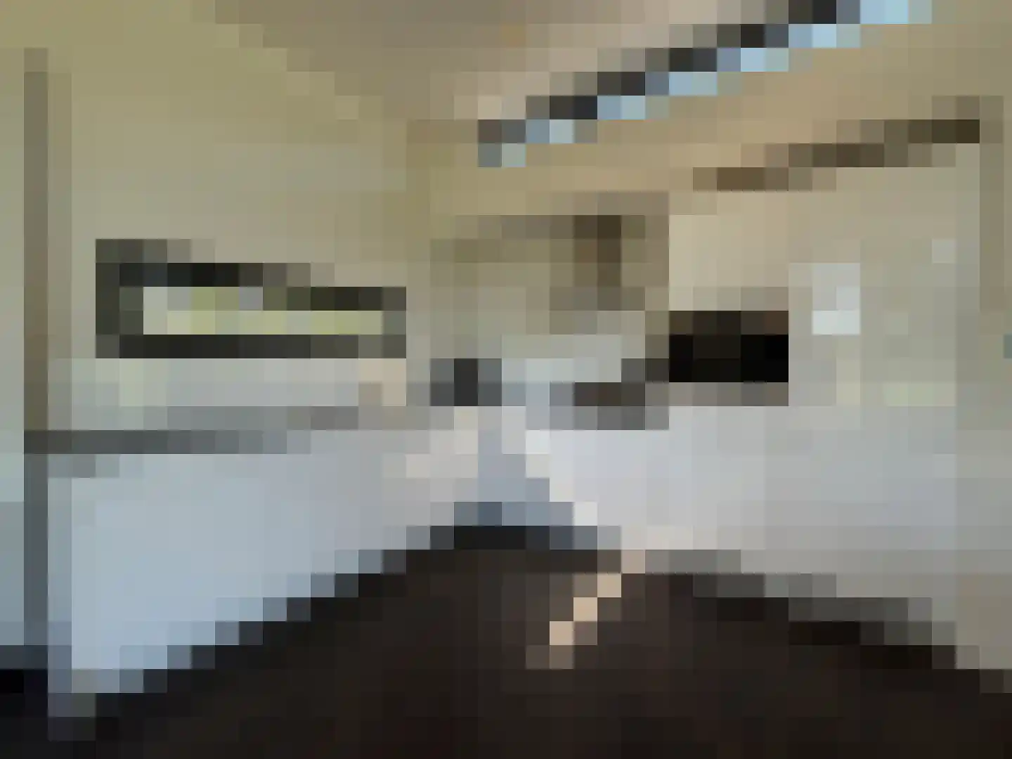 Zuiderweg 2 R 0313 Halfweg thumbnail 12