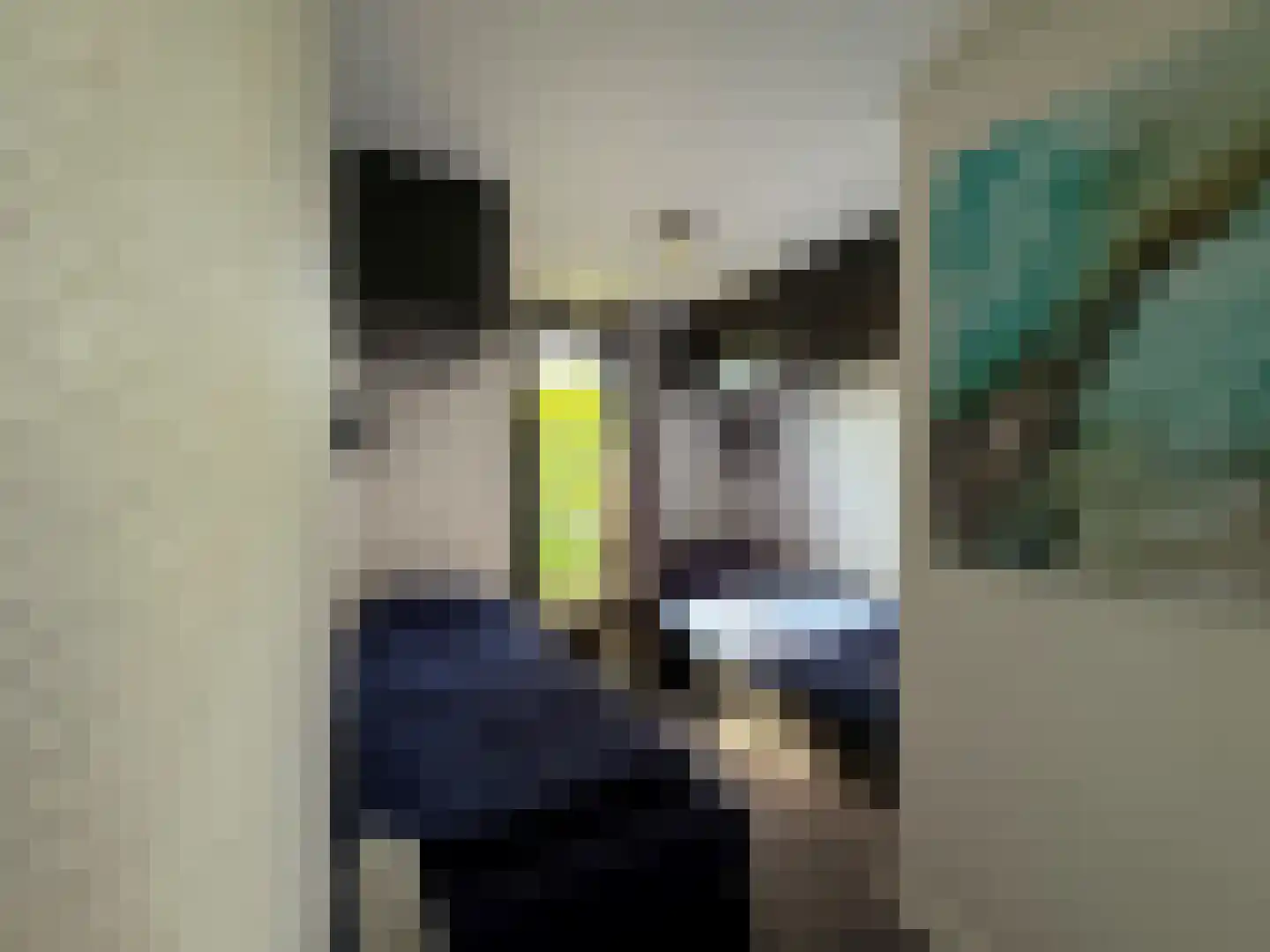 Zuiderweg 2 R 0313 Halfweg thumbnail 19