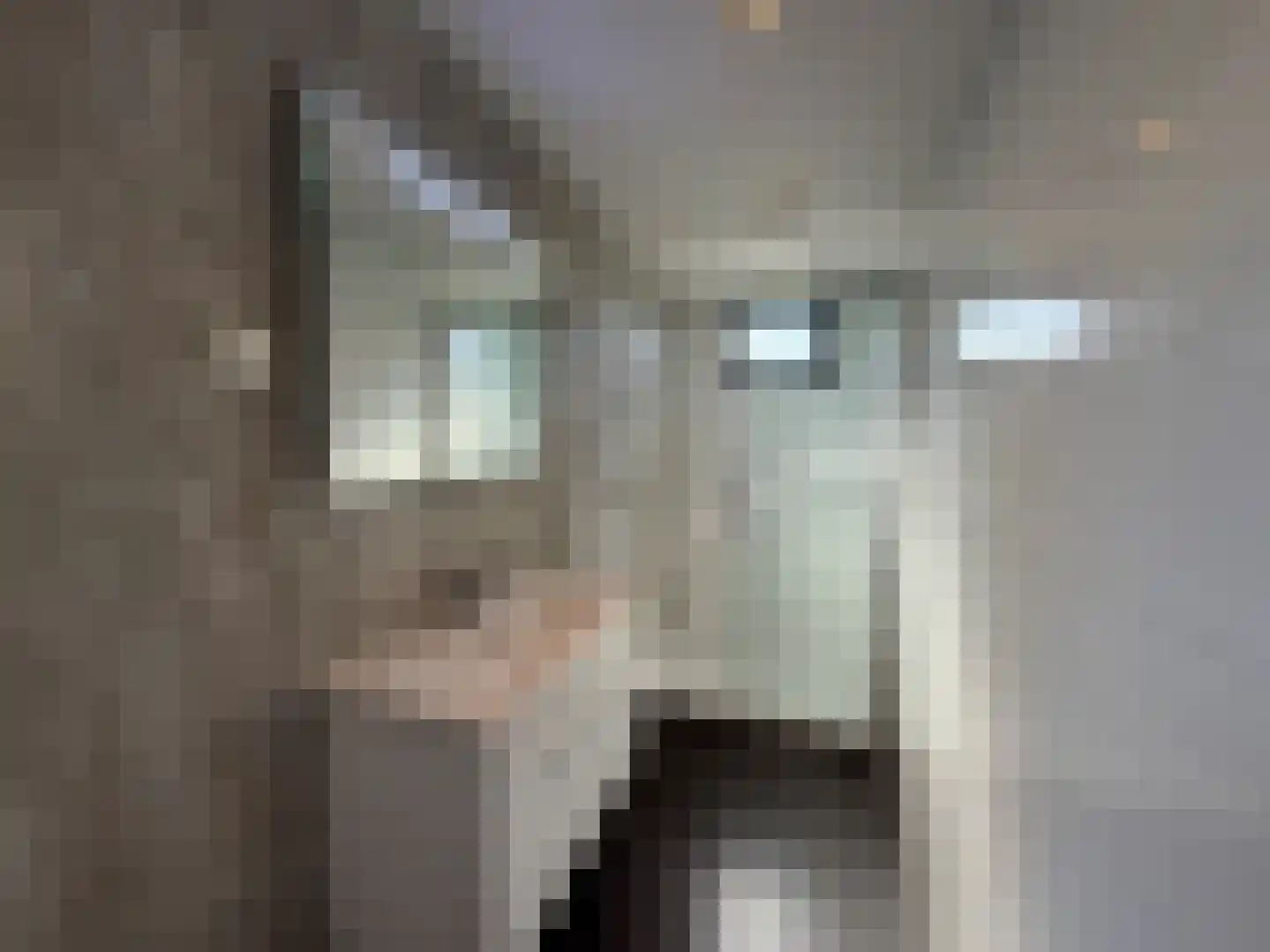 Zuiderweg 2 R 0313 Halfweg thumbnail 20