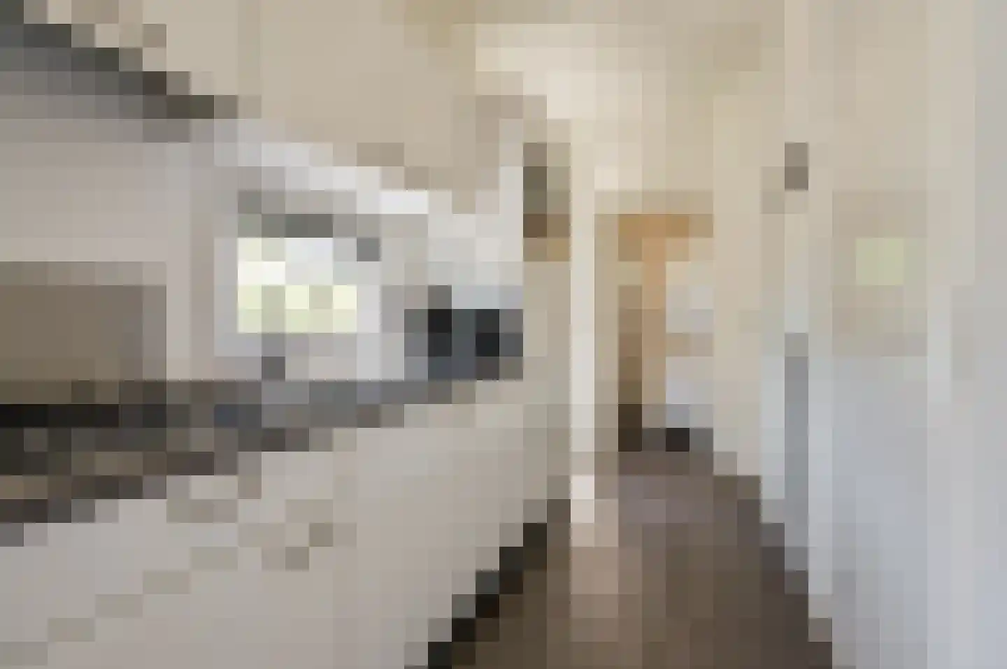 Zuiderweg 2 R 0335 Halfweg thumbnail 7