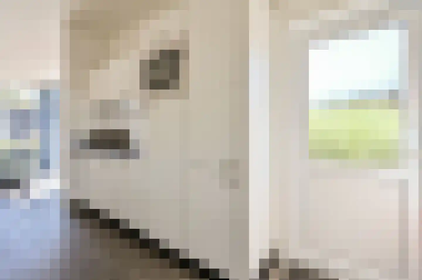 Zuiderweg 2 R 0335 Halfweg thumbnail 8