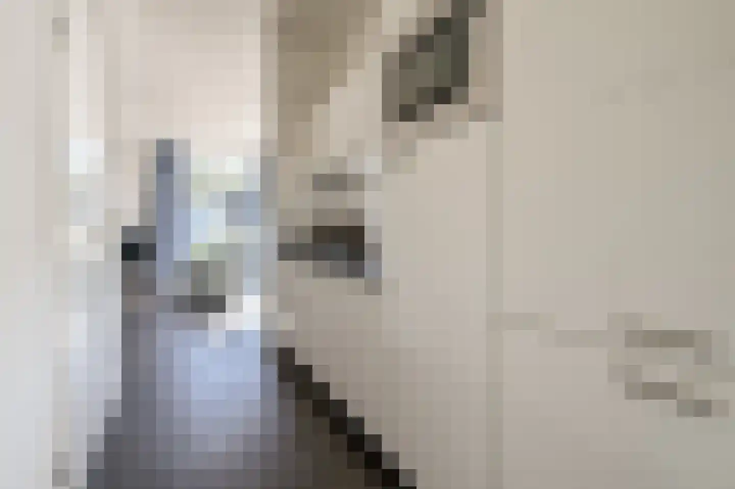 Zuiderweg 2 R 0335 Halfweg thumbnail 9