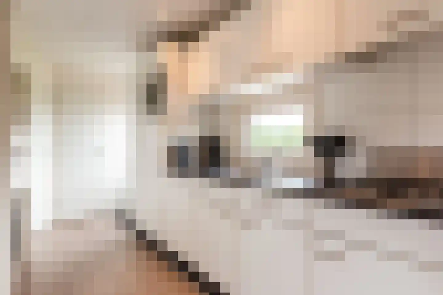 Zuiderweg 2 R 118a Halfweg thumbnail 12