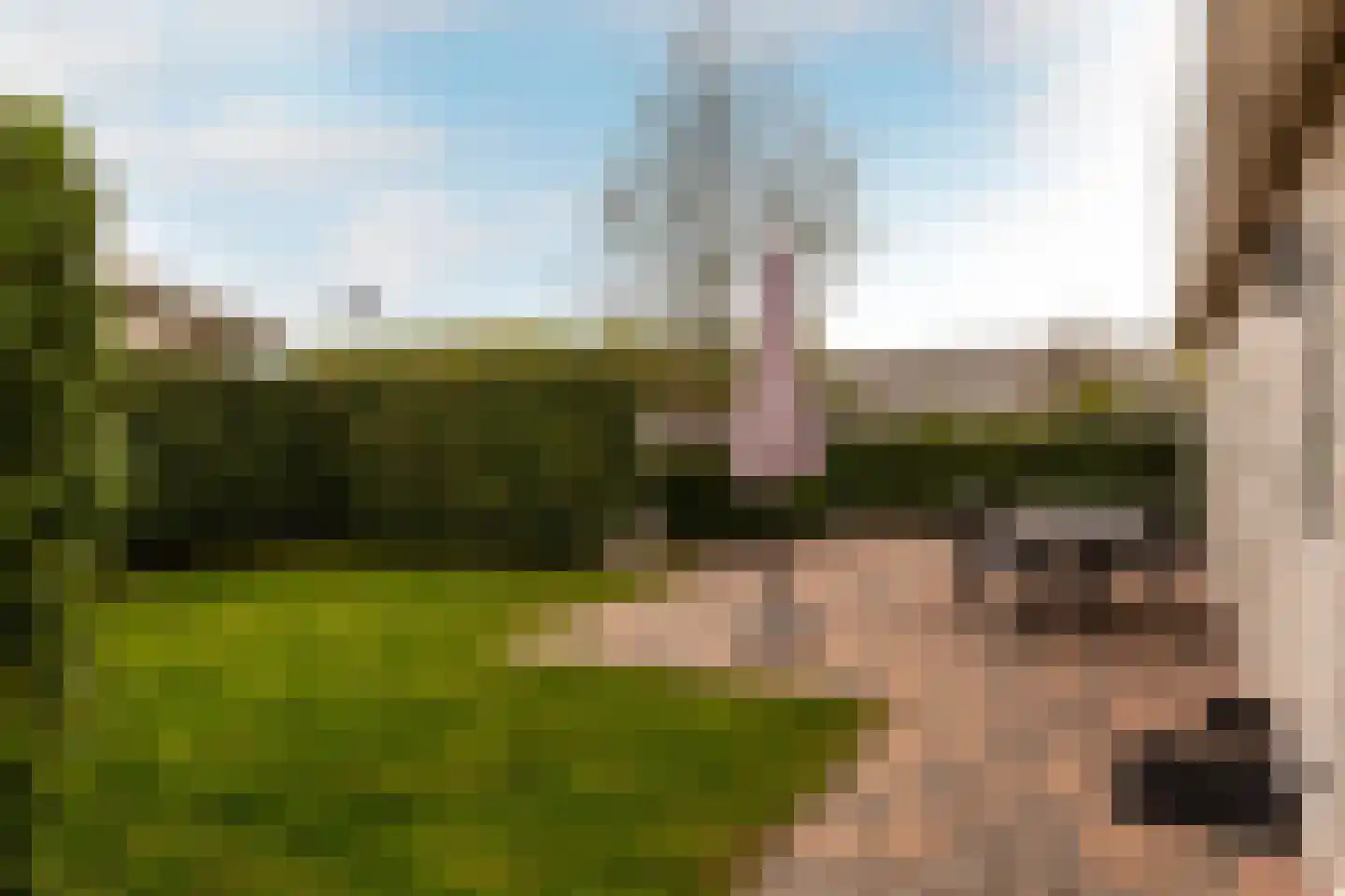 Zuiderweg 2 R 118a Halfweg thumbnail 20