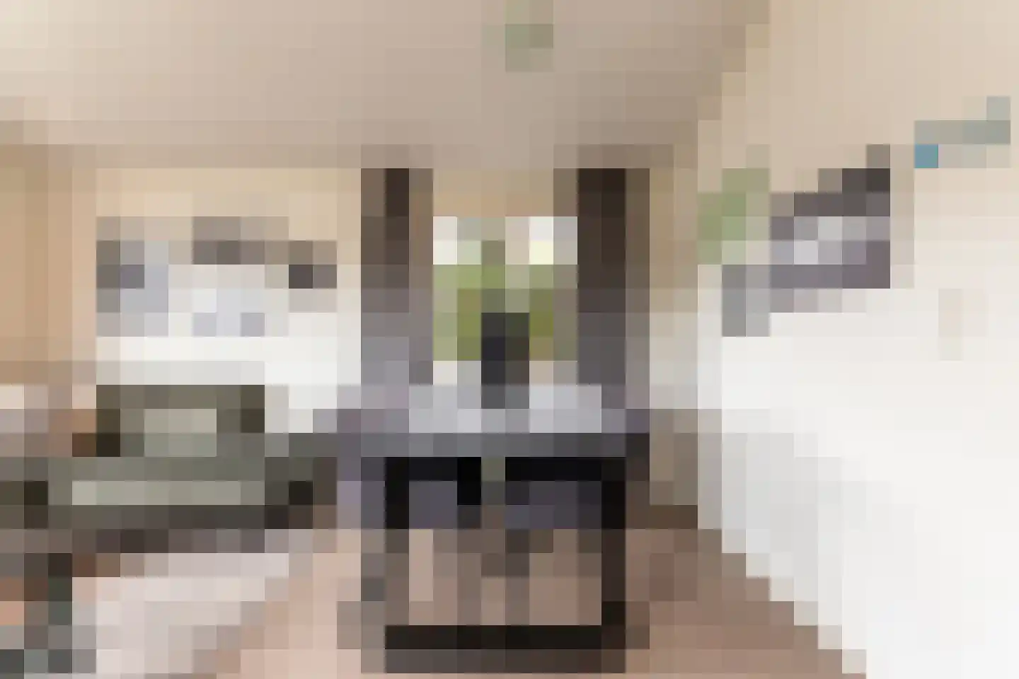 Zuiderweg 2 R 118a Halfweg thumbnail 6