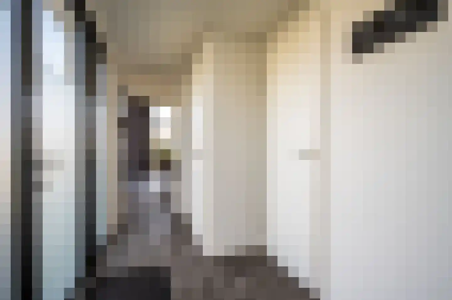 Zuiderweg 2 R155 Halfweg thumbnail 10