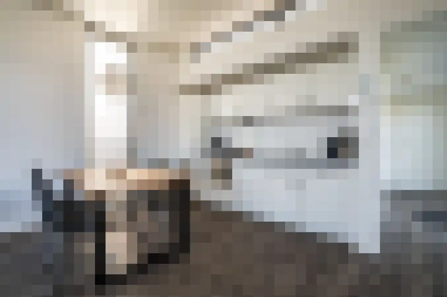 Zuiderweg 2 R155 Halfweg thumbnail 7