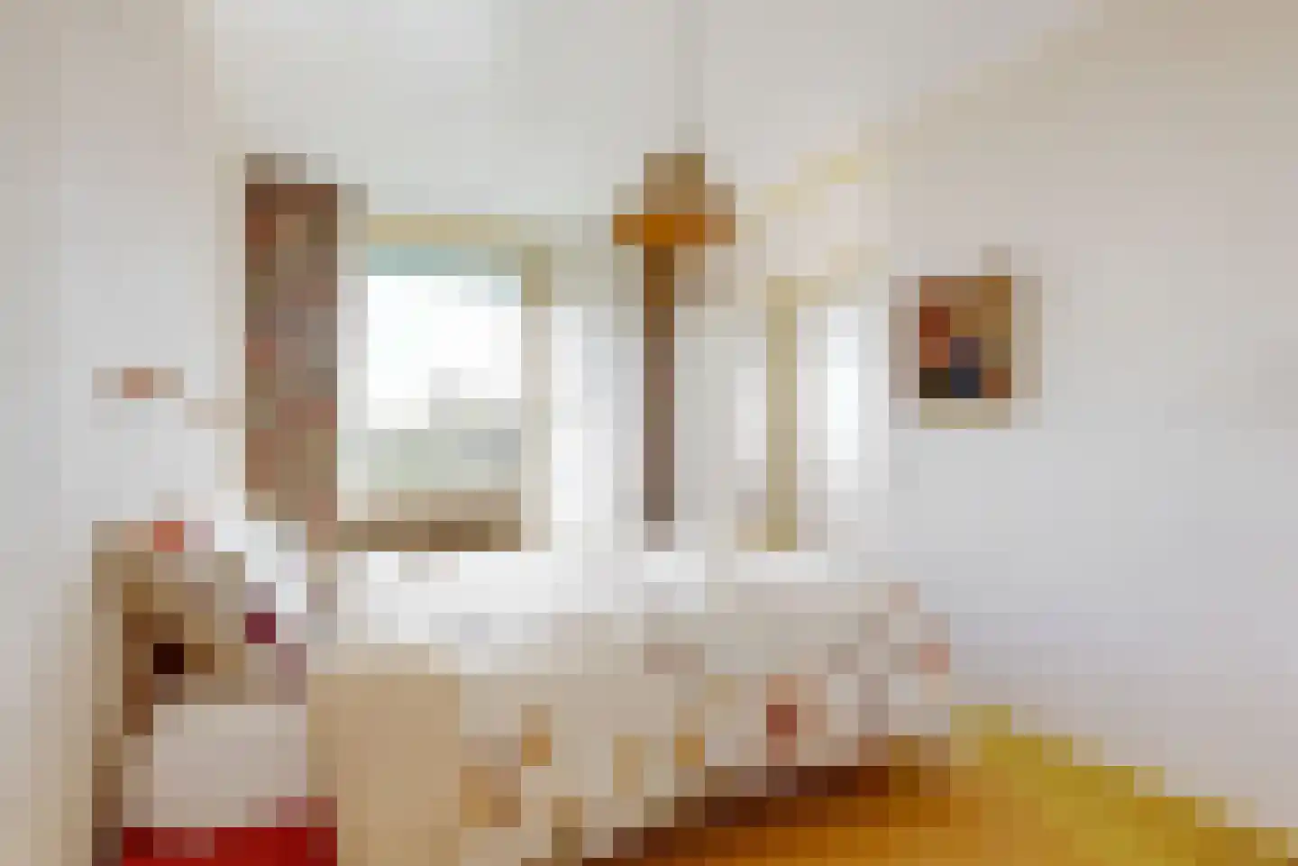Zuiderweg 200 Zuidoostbeemster thumbnail 16