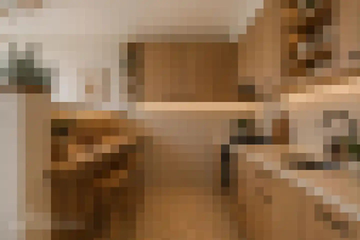 Zuiderweg 200 Zuidoostbeemster thumbnail 5