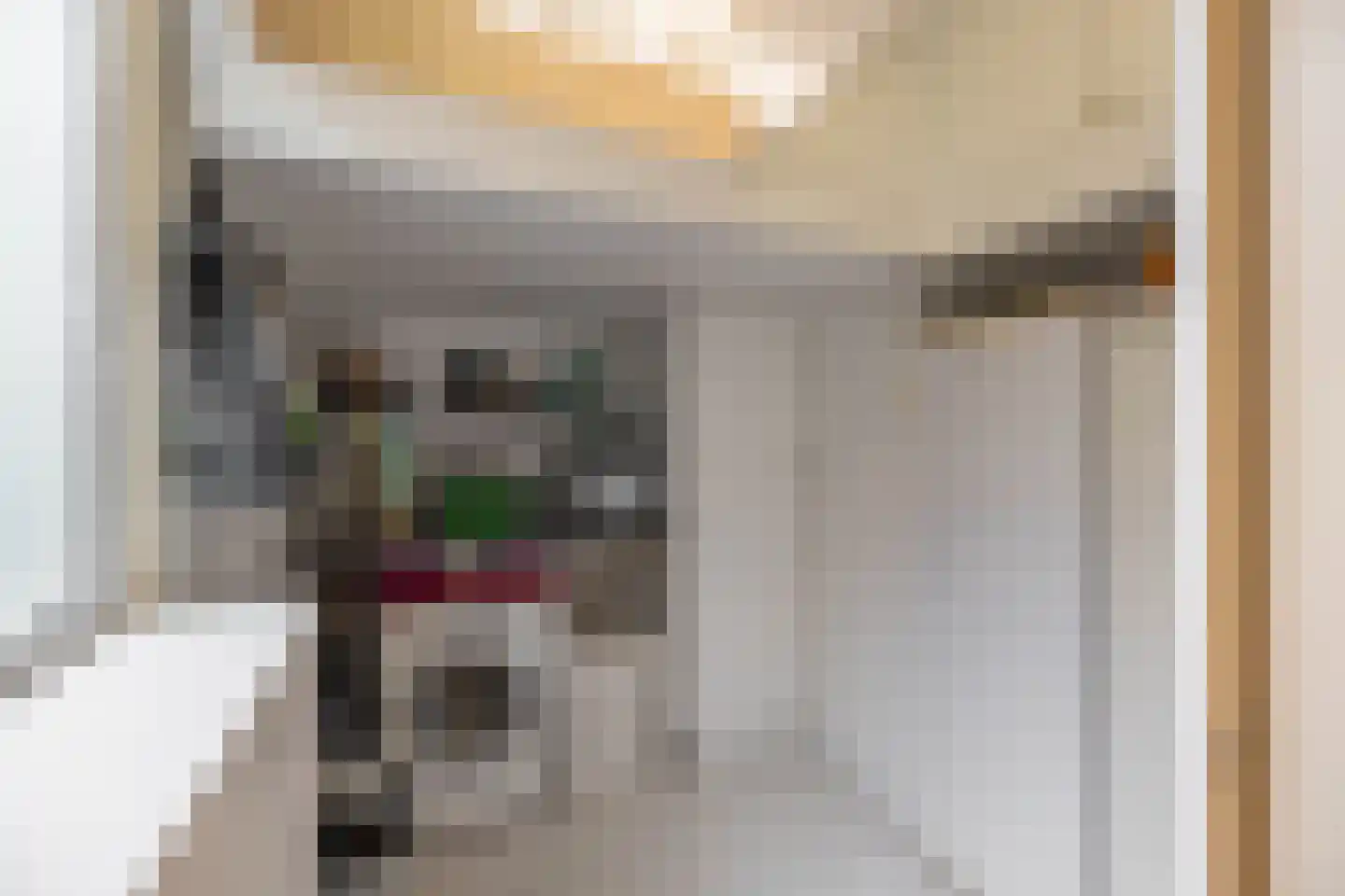 Zuiderweg 201 Groningen thumbnail 12