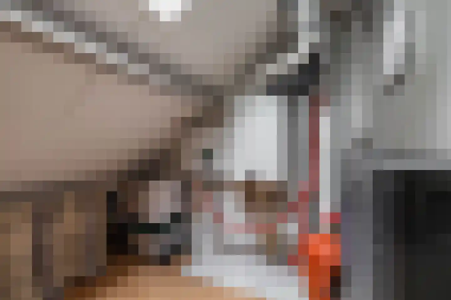 Zuiderweg 201 Groningen thumbnail 27