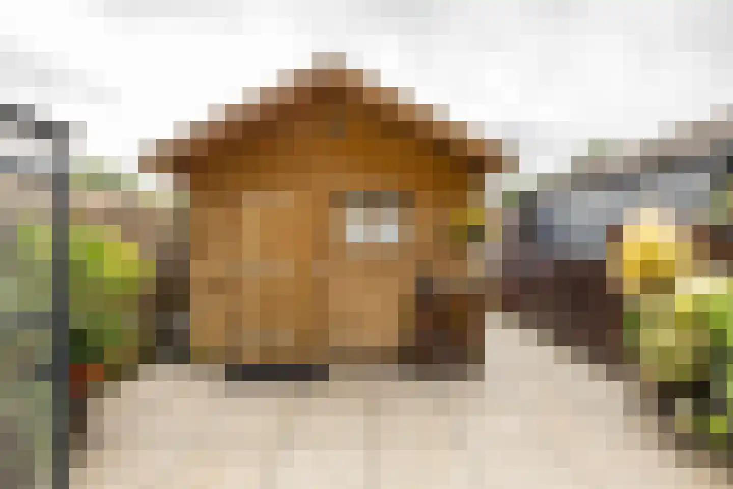 Zuiderweg 201 Groningen thumbnail 32