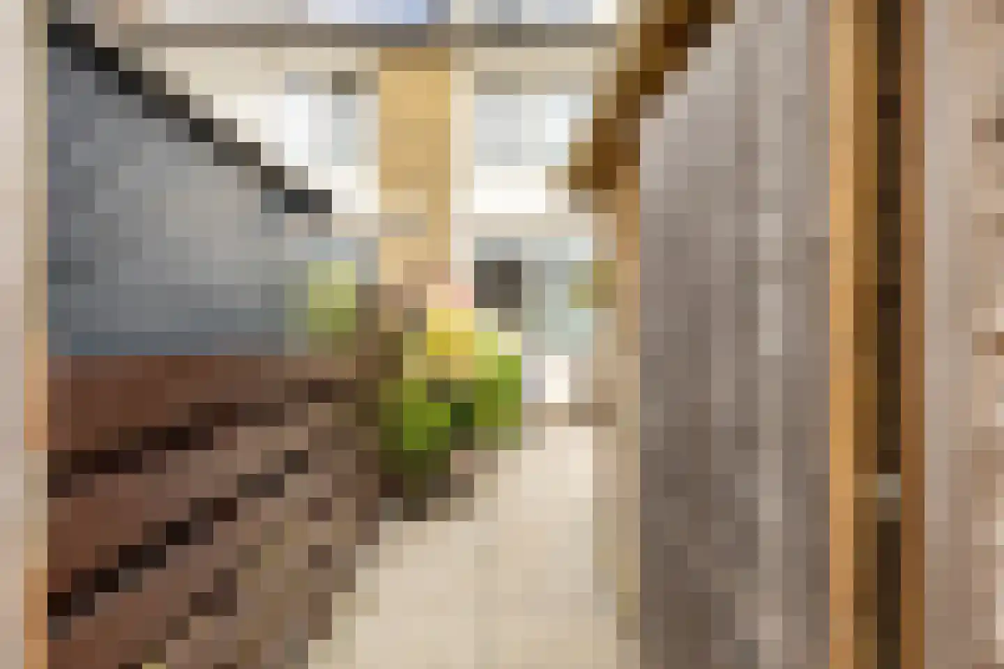 Zuiderweg 201 Groningen thumbnail 34