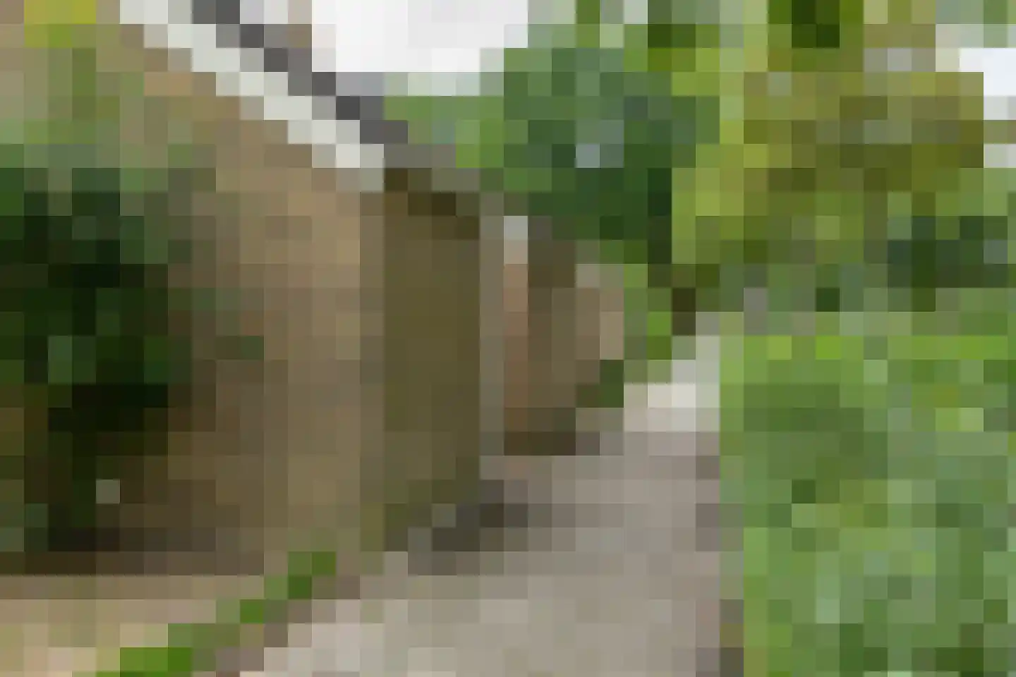 Zuiderweg 201 Groningen thumbnail 38