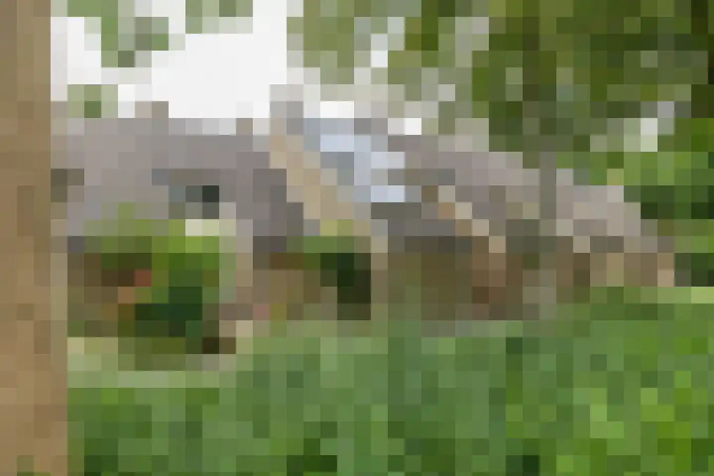 Zuiderweg 201 Groningen thumbnail 39