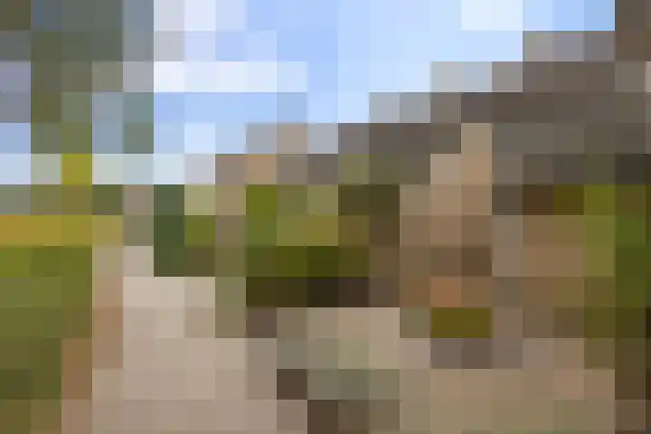 Zuiderweg 203 Groningen thumbnail 10