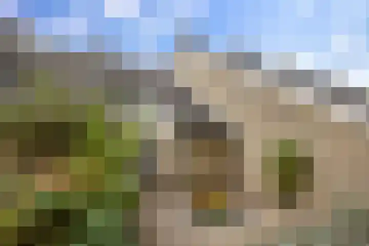 Zuiderweg 203 Groningen thumbnail 11