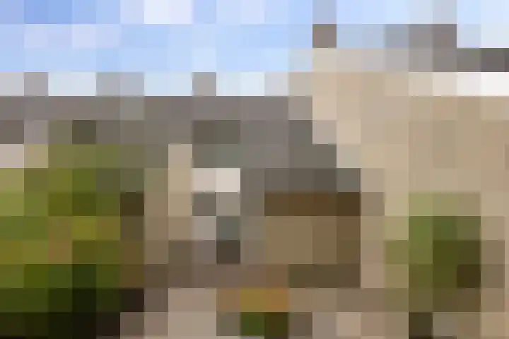 Zuiderweg 203 Groningen thumbnail 12