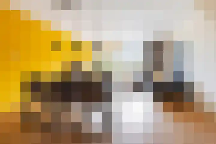 Zuiderweg 203 Groningen thumbnail 14