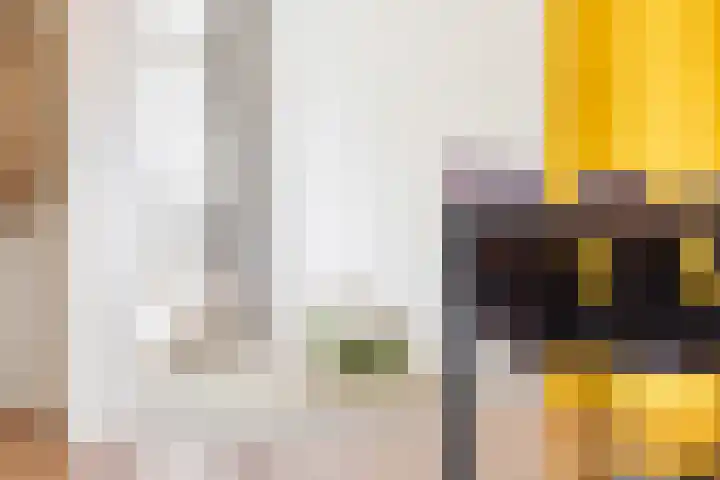 Zuiderweg 203 Groningen thumbnail 20